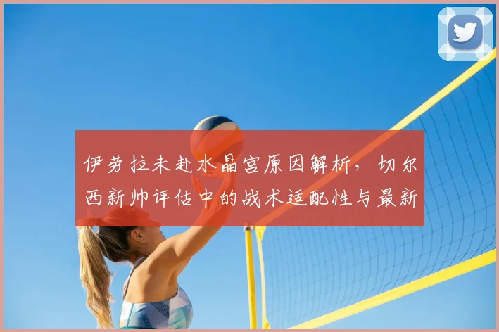 伊劳拉未赴水晶宫原因解析，切尔西新帅评估中的战术适配性与最新动态追踪